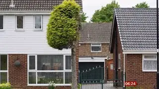 Tree cut in half in neighbour row over driveway pigeon poo (UK) - BBC News - 25th June 2021