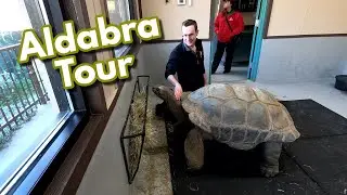 Aldabra Tour @ SeaWorld San Antonio