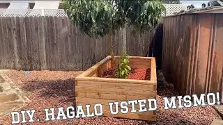 Madera 2x4 project!!!