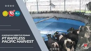 Mengunjungi Fasilitas Produksi Susu Segar PT Raffless Pacific Harvest Garut