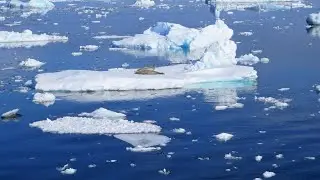 Antarctic currents supplying 40% of world's deep ocean with nutrients and oxygen slowing dramaticaly