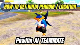 How To Get Ninja Penguin | How To Use Ninja Penguin Location in BGMI/PUBG 4.1 Update AI Teammate