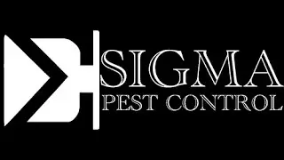 Pest Control Packages