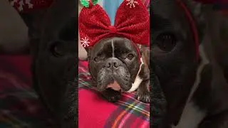 Шёл третий день новогодних праздников&hellip; У меня уже глаз дергается 😅