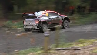 WRC:Wales Rally GB 2019