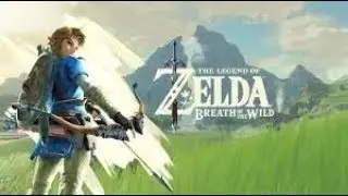 Legend of Zelda Breath of the Wild Ep14: King Dorephan