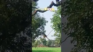 good morning🌞🕊️❤️#song #love #punjabisong #nature #viral #trending #ytshorts #shorts #youtubeshorts