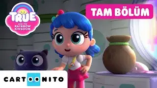 TRUE VE GÖKKUŞAĞI KRALLIĞI | Yeti Oturuyor | TAM BÖLÜM | @CartoonitoTurkiye