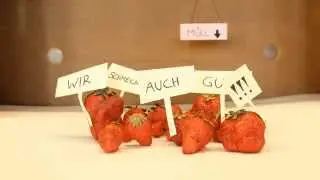 Die Invasion & Erdbeer Rechte