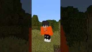 Minecraft Smp