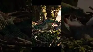 Eagle vs Giant Python 🦅🐍 | Epic Jungle Predator Battle#effectking