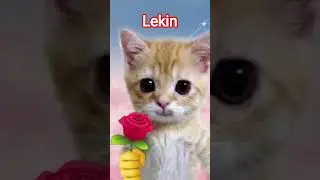 app mujhe hi dekhooo