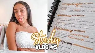 STUDY VLOG #5: PREPARAÇÃO PARA TESTES, COMO FAÇO TÍTULOS E RESUMOS!