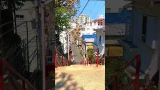 Tokyo - Suga Shrine Steps (Kimi no Na wa/ Your Name anime spot)  #japan #tokyo #kiminonawa