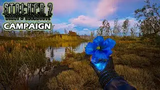 This is How to find the Secret Artifact in the Poppy Field in Stalker 2