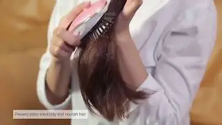 The Amazing Portable Electric Ionic Hairbrush
