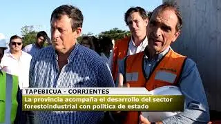 REACTIVACION FERROVIARIA Y EXPORTACION DE MADERA A CHINA