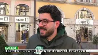 I tifosi promuovono a pieni voti il mercato: il sondaggio