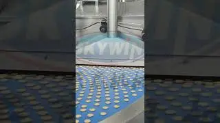 Skywin 1200mm Hard and Soft Biscuit Production Line #biscuitmachine #foodmachine #Cookie #shorts
