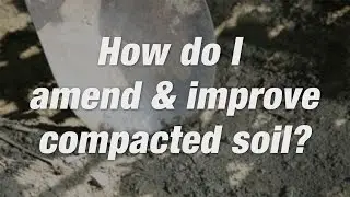 How to Use Clay Breaking Compost Soil | Miracle-Gro Canada