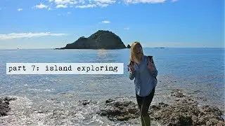 Tiritiri Matangi Island, NZ
