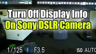 Как удалить отображаемую информацию о зеркальной камере Sony при ее использовании в качестве веб-камеры в OBS
