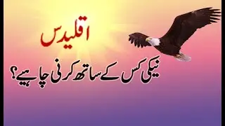 Aqlidas and Borat Some Quotes In Urdu | Raheemi Tv