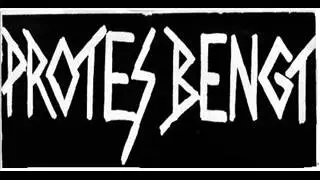 Protes Bengt - Fl&auml;nsost (hardcore punk Sweden)