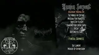 Human Serpent. 2015 / Inhumane Minimalism #blackmetal #blackmetalmusic #blackmetalband