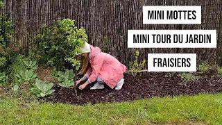 Plantes en mini mottes, fraisiers et petit tour du jardin !