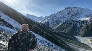 Tahr NZ 2020