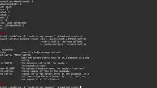 389 Directory Server - CLI usage