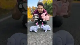 Rc 3 Remote Control Rabbit 🐇Unboxing
