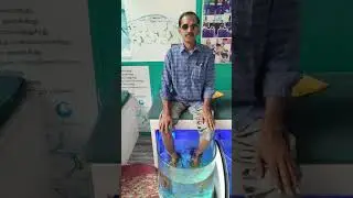 FISH MASSAGE #latestvideos #tamil #musica #love #raindance #song #beach