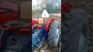 IMT 533 de luxe oranje njive gde bio kukuruz