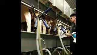 LED Lighting Solutions for Your Barn