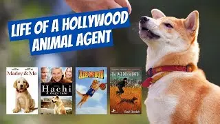 Getting Your Dog on TV: Hollywood Animal Agent Reveals All | Meet Joel Norton | Profoundly Pointless