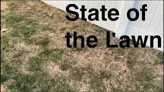 State of the Lawn 2019