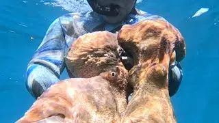 Pesca sub Bis di Piovre incredibili con acque torbidissime 💯💯💯
