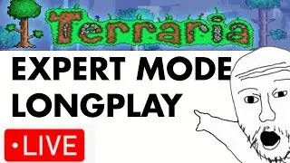 Terraria Expert Mode Long Letsplay Chill Stream - ASMR - 25 06 09 - Duke Fishron Prep