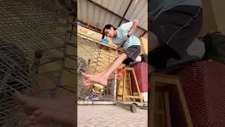 five perfect muscle-ups (false grip once again, no improvement whatsoever)