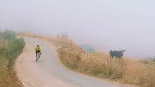 Cycling the Juniper's Road -  Panasonic GH5