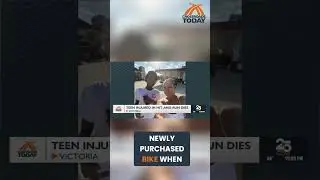 Teen Dies After Tragic Hit-and-Run: Family's Plea #shorts