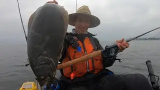 The One Time I Tried to ATTRACT SHARKS to my KAYAK...