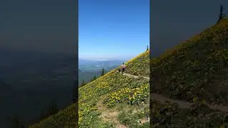 a spring bucket list hike you HAVE to do once in your life 👇👇 ➡️ Save this post to inspire your