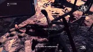 Dying Light The pitt