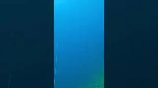 I didn&rsquo;t see this big fish sneak up behind me