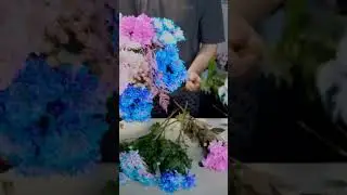 Baby flower bouquet #shortvideo #flowers #beautiful #shortsfeed #shorts #viral #viralvideo