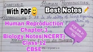 Biology Chapter-3 Human Reproduction Class-12 Best Handwritten Notes(PDF) NCERT CBSE Board