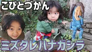 【こびとづかん】ミズタレハナガシラみつけた！［事件］